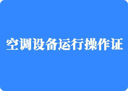 鸡巴操逼视频看看制冷工证