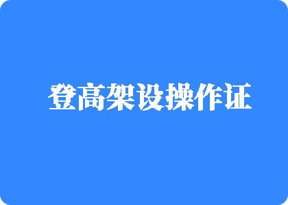 大几把操我网站登高架设操作证