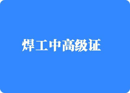 污污视频屄视频“鉴黄师”焊工中高级证